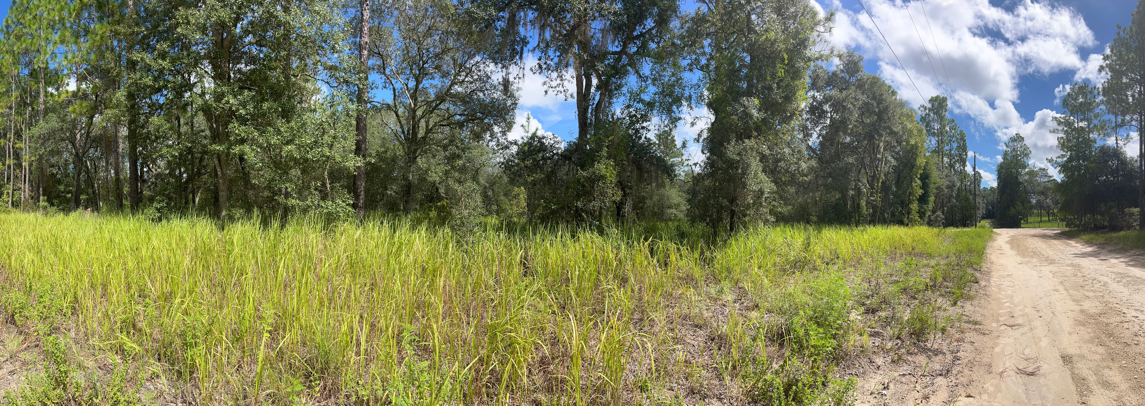 Site Boundary & Clearing